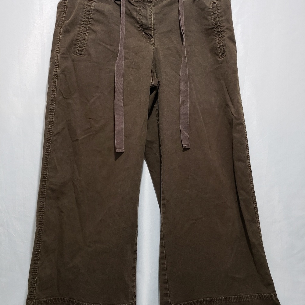 Ann Taylor Capri Pants